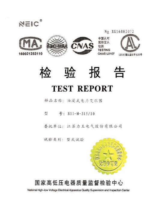 广州S11-315检验报告